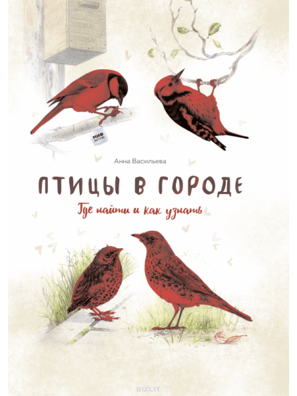 Птицы в городе книга. Книга «птицы в городе». Птицы в городе Васильева.